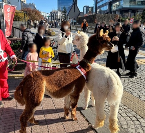 今日はサンタに引かれたトナカイ姿での登場です。